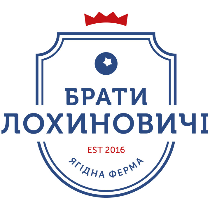 Брати Лохиновичі